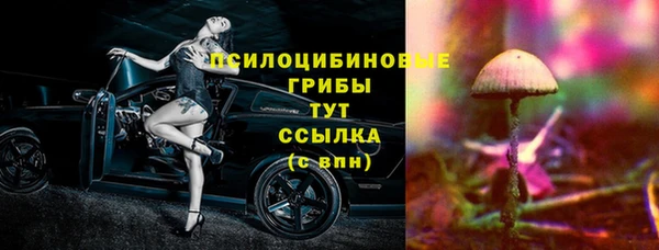 дмт Ладушкин