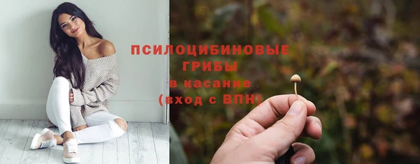 дмт Ладушкин