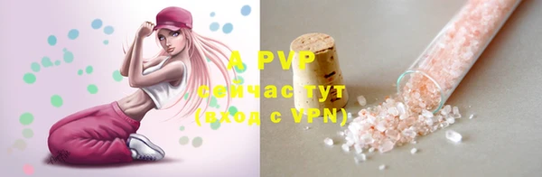 дмт Ладушкин