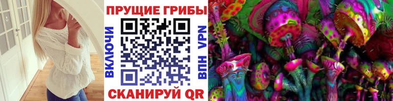 Галлюциногенные грибы Magic Shrooms Купить закладки Зеленогорск