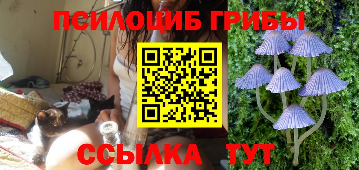Галлюциногенные грибы мицелий Зеленогорск