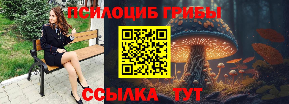 Псилоцибиновые грибы Magic Shrooms  сколько стоит  Галлюциногенные грибы прущие грибы  Зеленогорск 