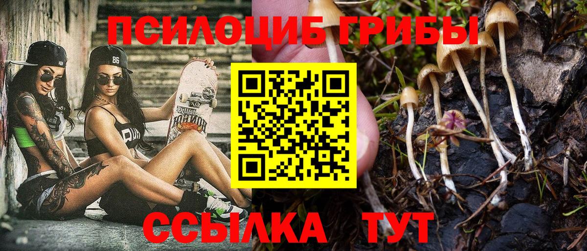 Галлюциногенные грибы мицелий  Вход с VPN  закладка  Зеленогорск 