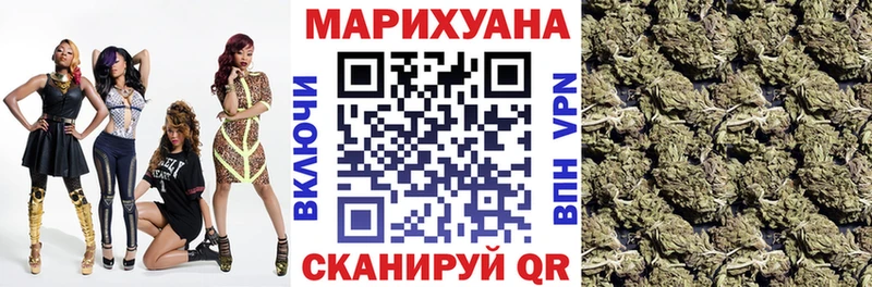 Бошки марихуана сатива  Купить где  Зеленогорск 
