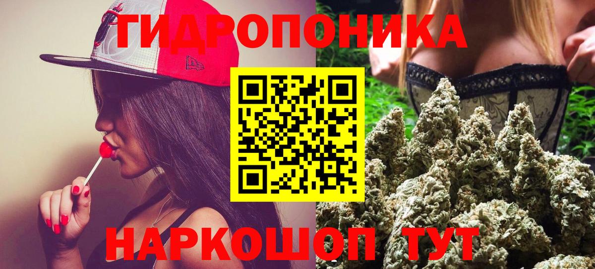 Каннабис ГИДРОПОН  Бошки Шишки SATIVA & INDICA  Зеленогорск  Каннабис White Widow  Вход с VPN 